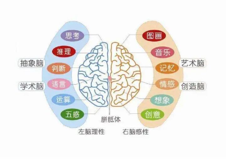 儿童健脑吃什么_儿童补脑健脑的产品_儿童健脑食品