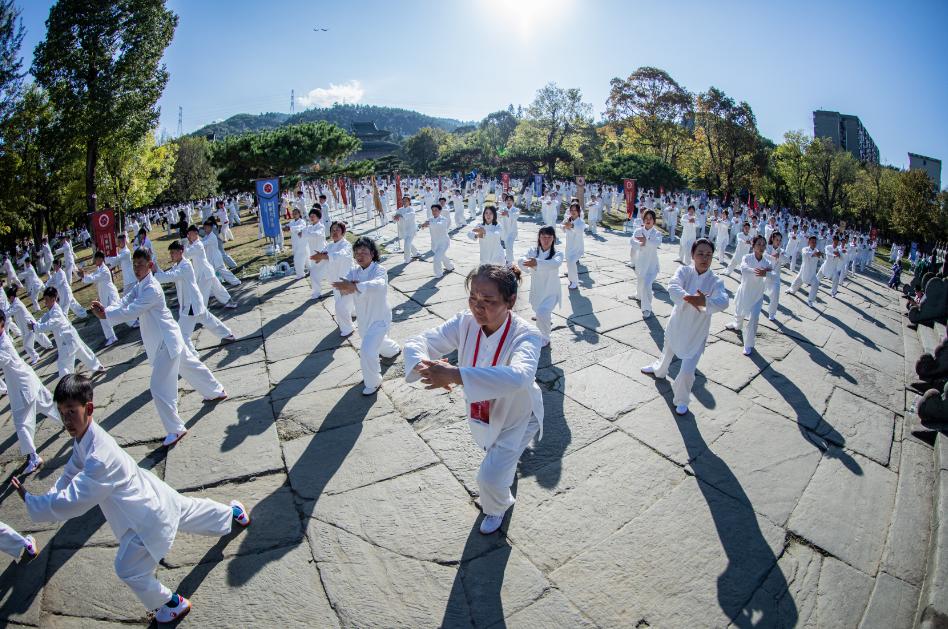 世界武当太极大会丨太极功夫惊艳全场_武当太极功视频下载_武当太极视频