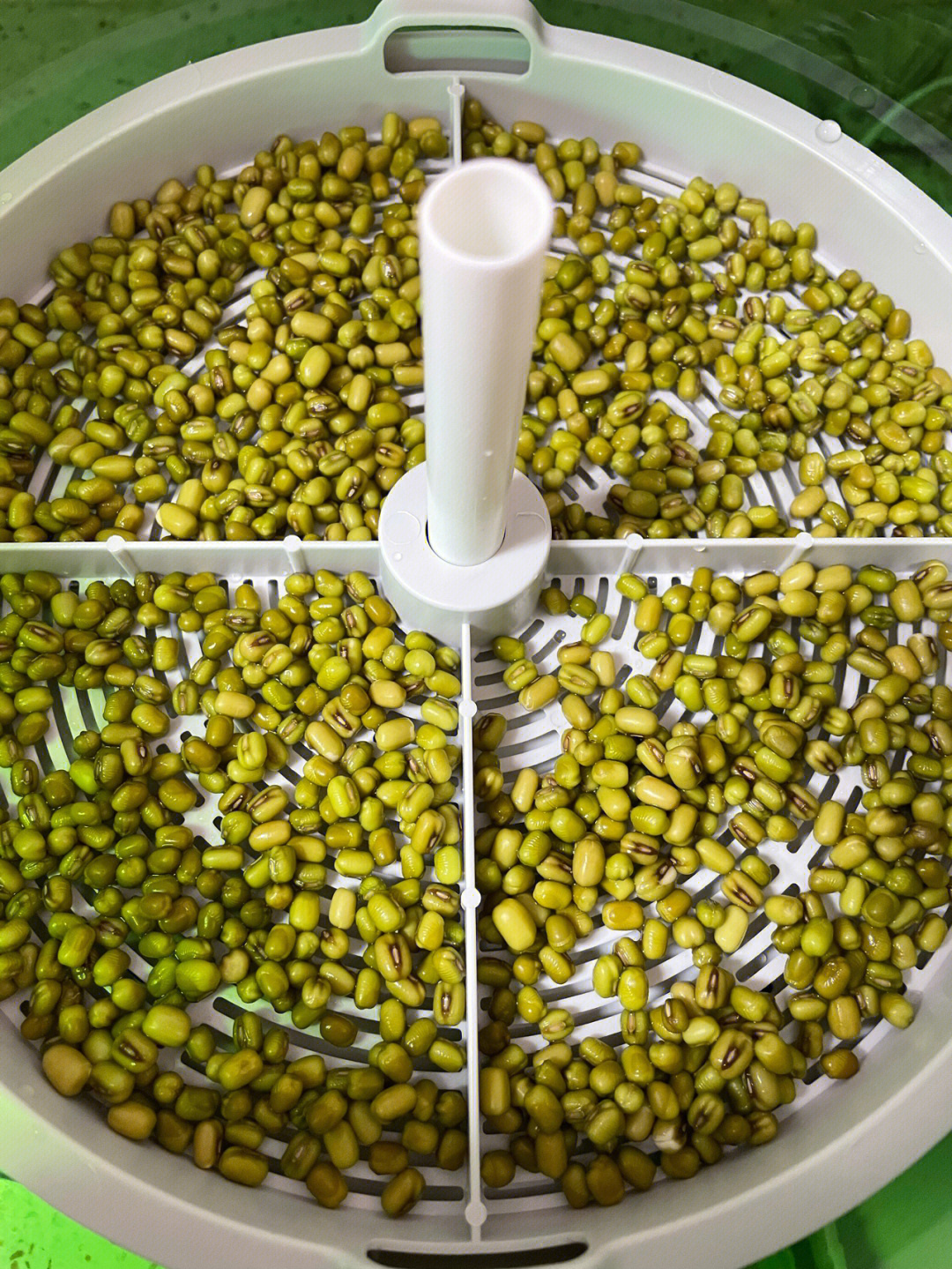 回收机床有哪些网站_各种机床回收_豆芽机图片机床回收