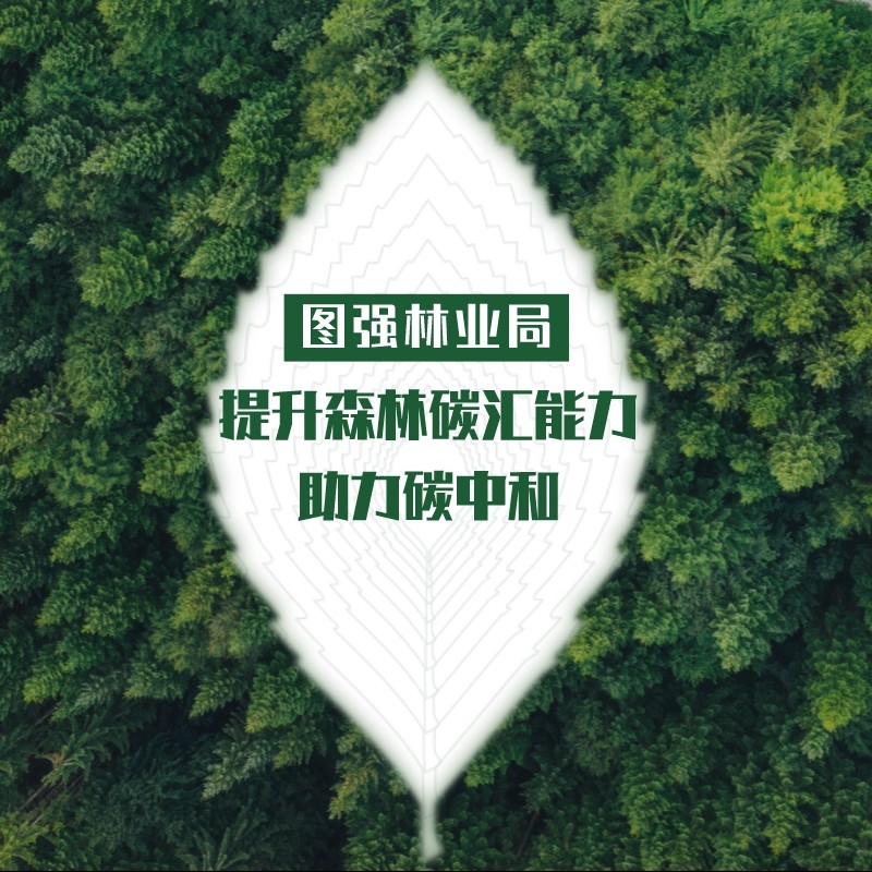 河北省林业厅王中_河北慧林生物科技有限公司_河北中惠林业网站