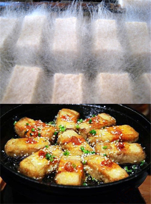 臭豆腐乳对身体有害吗_臭豆腐乳怎么做好吃又简单_臭豆腐乳