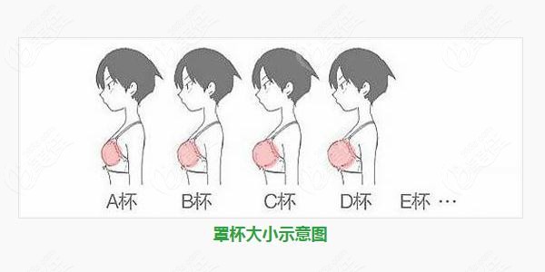 怎么样减肥不瘦胸_怎么样减肥不瘦胸_怎么样减肥不瘦胸