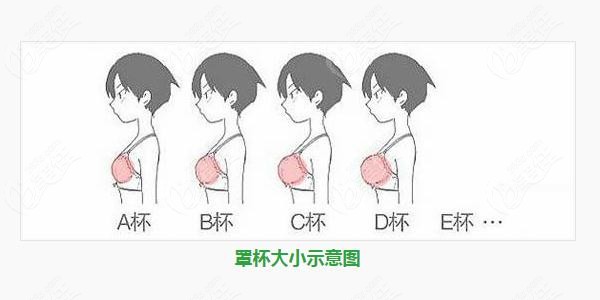 怎么样减肥不瘦胸_怎么样减肥不瘦胸_怎么样减肥不瘦胸