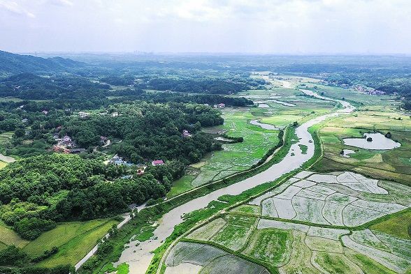 荣格林业基地_荣格林业基地_荣格林业基地