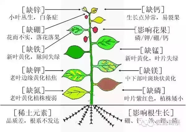 土壤中氮磷钾含量标准_土壤中氮磷钾的标准值是多少_土壤氮磷钾含量标准