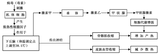 调理经验血热怎么调理_血热怎么调理 经验_调理血热的中药方