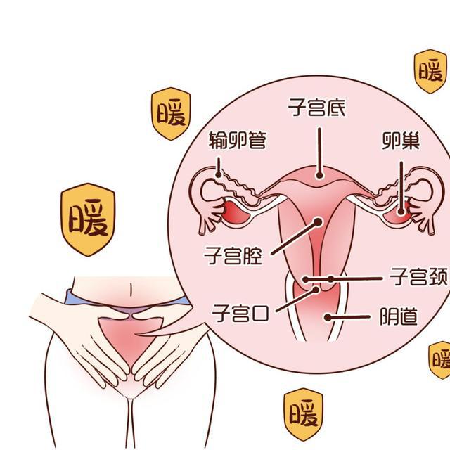 子宫剧烈经期运动内膜会变薄吗_经期剧烈运动子宫内膜_经期剧烈运动导致子宫内膜异位