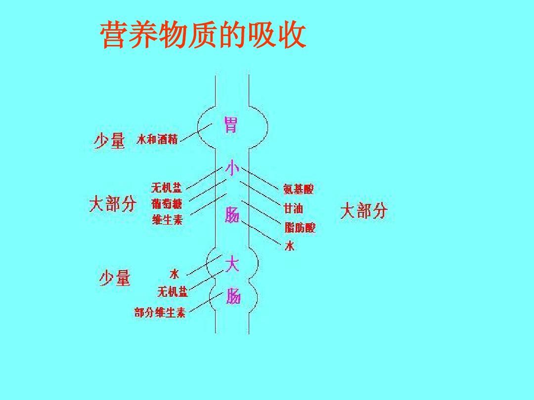 肠胃不好怎么调理食谱_调理肠胃食谱好的食物_调理肠胃的食物食谱表