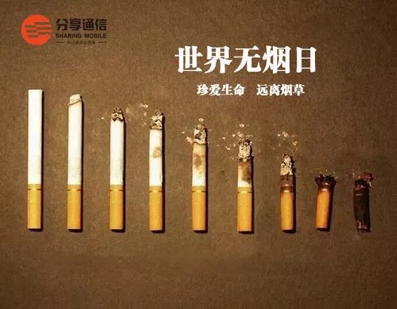 出口冬虫夏草香烟多少一条_夏草冬虫烟价格_出口冬虫夏草香烟