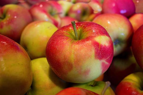 苹果每天吃的好处_每天吃苹果有什么_每天吃几个苹果对身体有好处