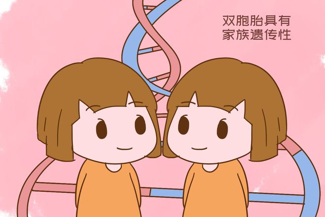 双胞胎要排几个卵_调理排卵生双胞胎好吗_双胞胎排卵药有哪些