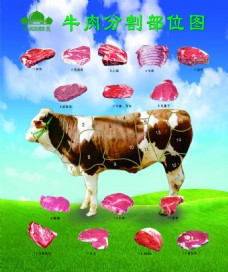 中国牛羊肉出口进出口公司_羊肉出口企业名单_牛羊肉出口哪个国家